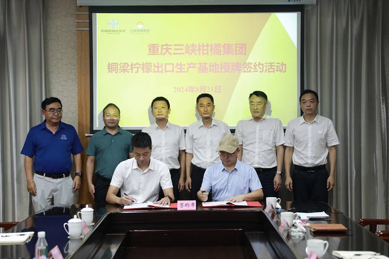 新葡京(中国)官方网站