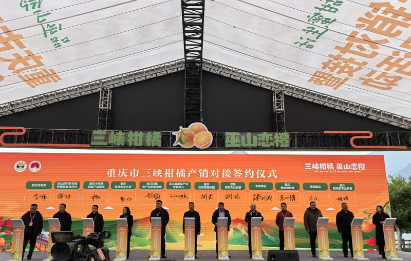 新葡京(中国)官方网站
