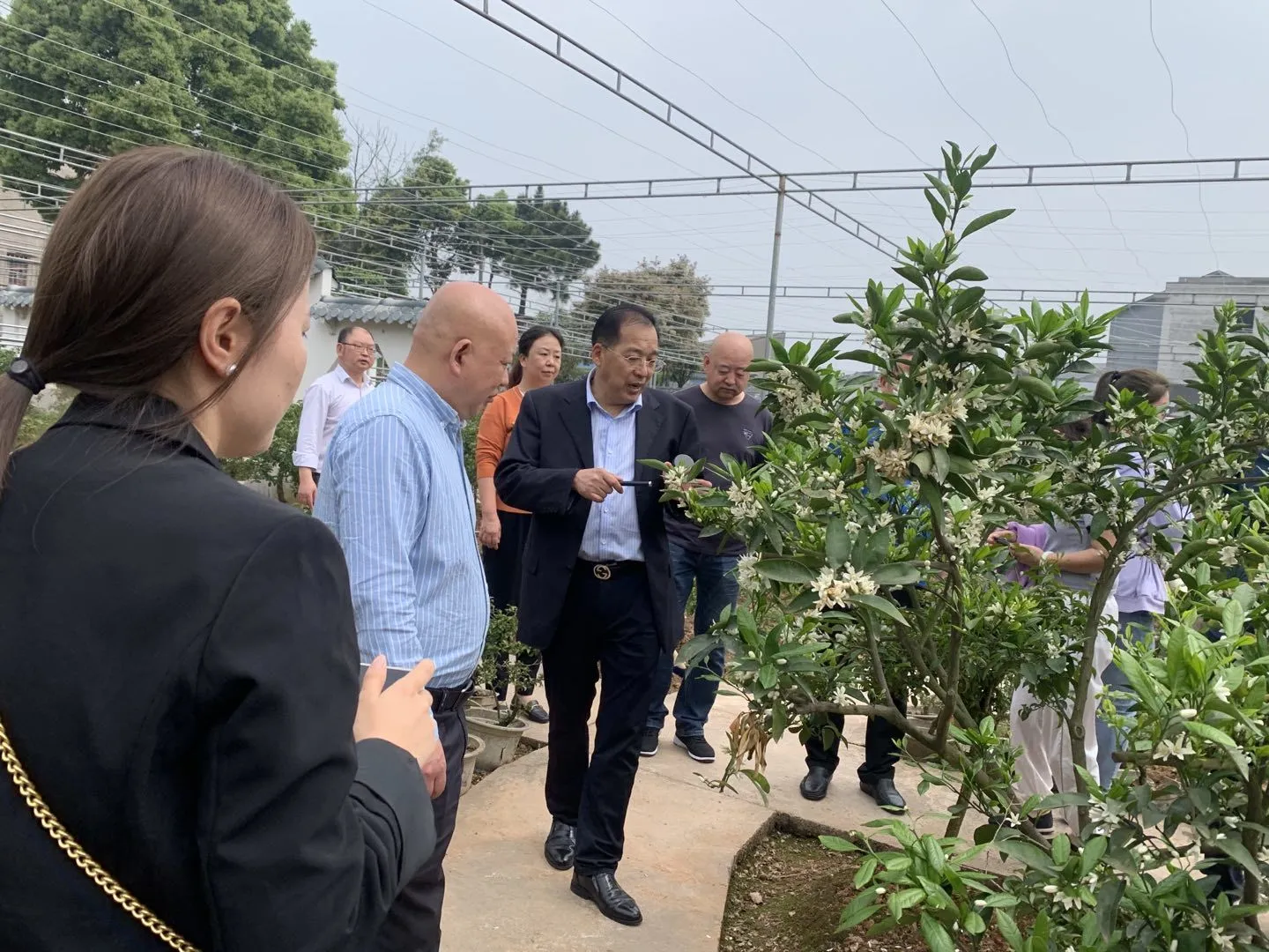 新葡京(中国)官方网站
