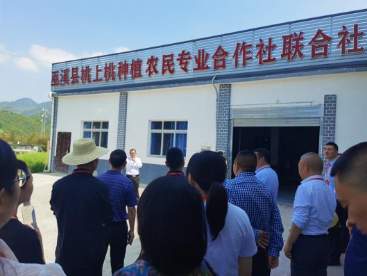 新葡京(中国)官方网站