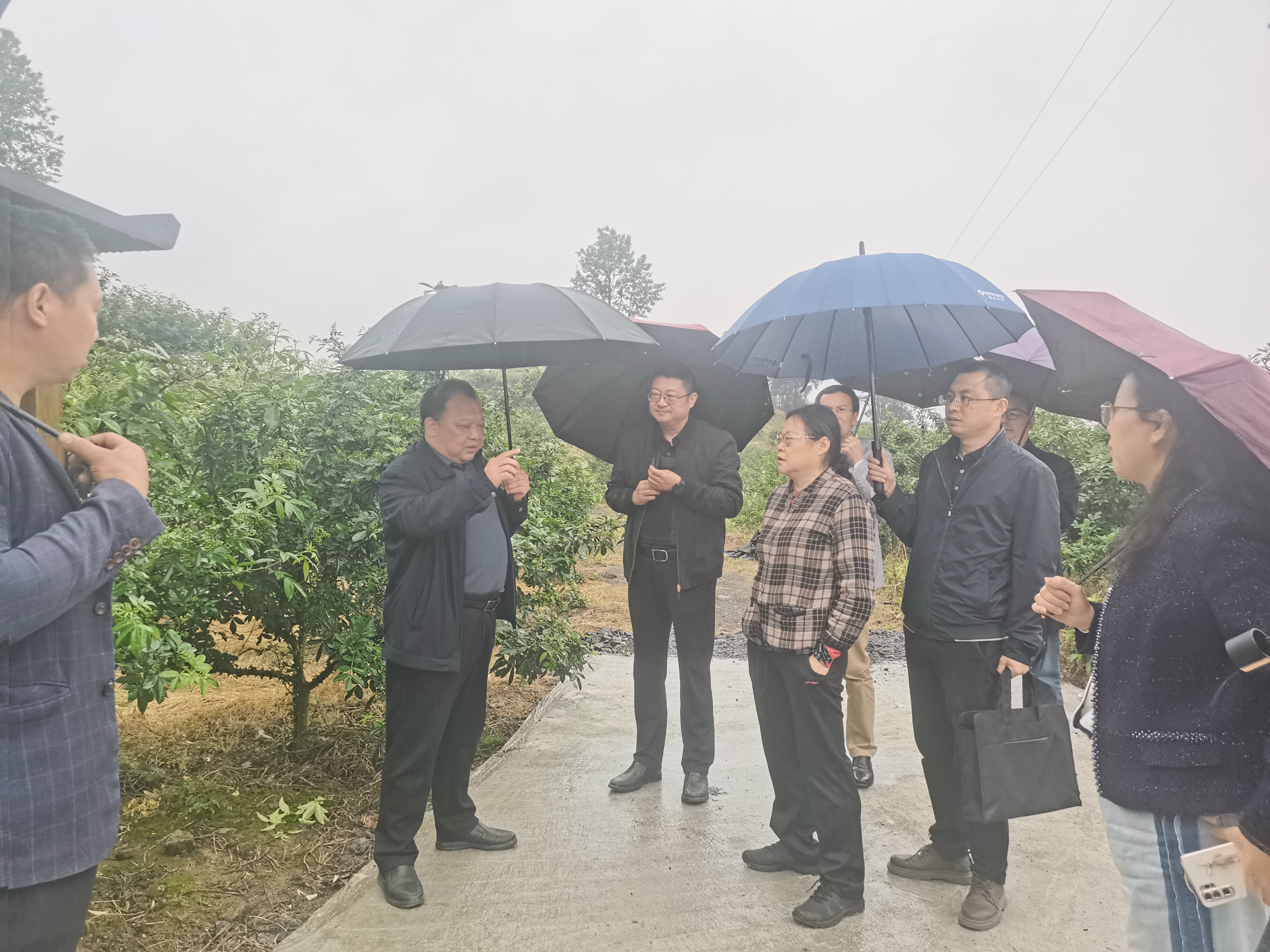 新葡京(中国)官方网站