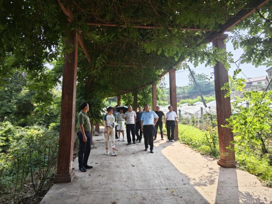 新葡京(中国)官方网站