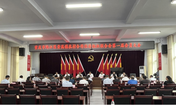 新葡京(中国)官方网站