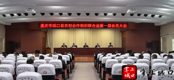新葡京(中国)官方网站
