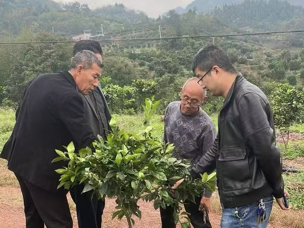 新葡京(中国)官方网站
