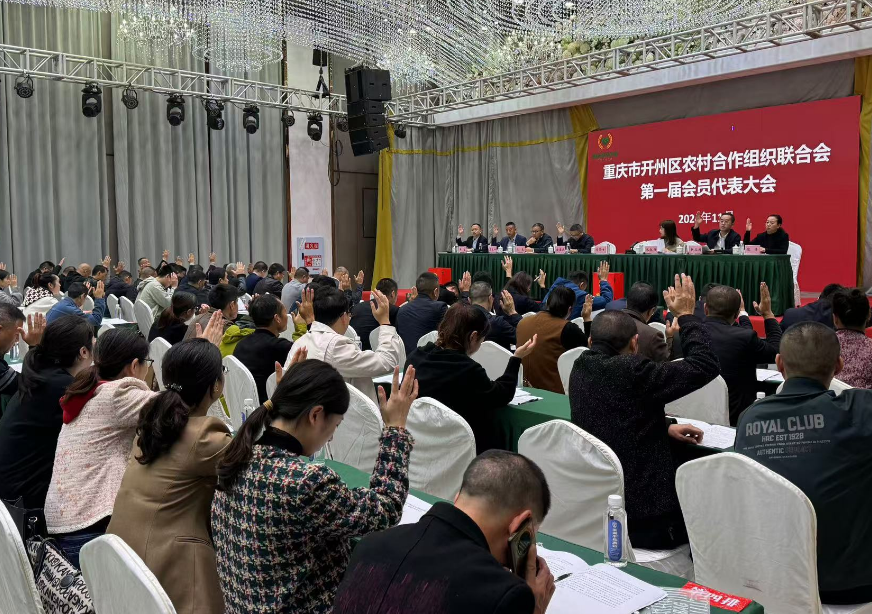 新葡京(中国)官方网站
