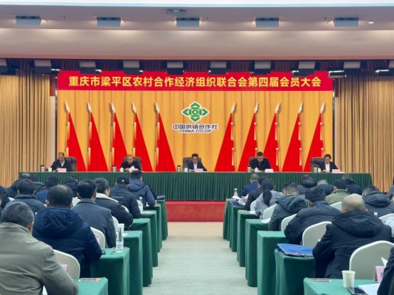 新葡京(中国)官方网站