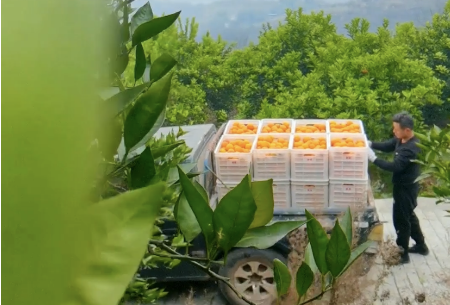 新葡京(中国)官方网站
