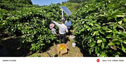 新葡京(中国)官方网站