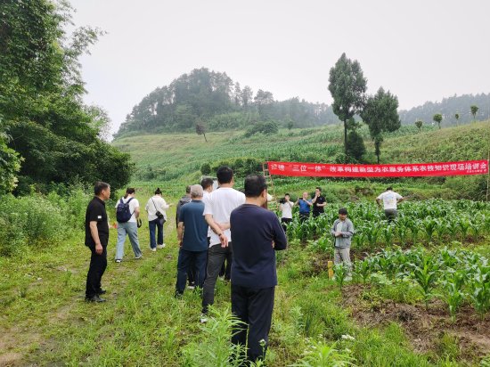 新葡京(中国)官方网站