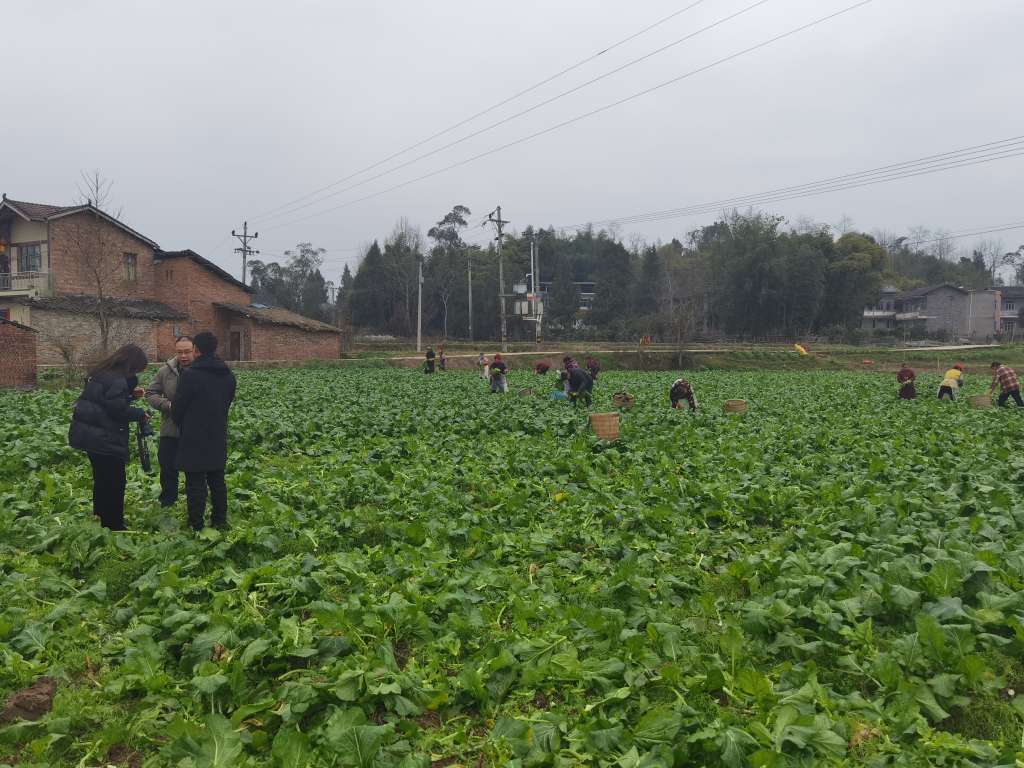 新葡京(中国)官方网站