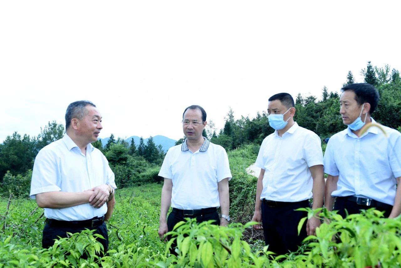 新葡京(中国)官方网站