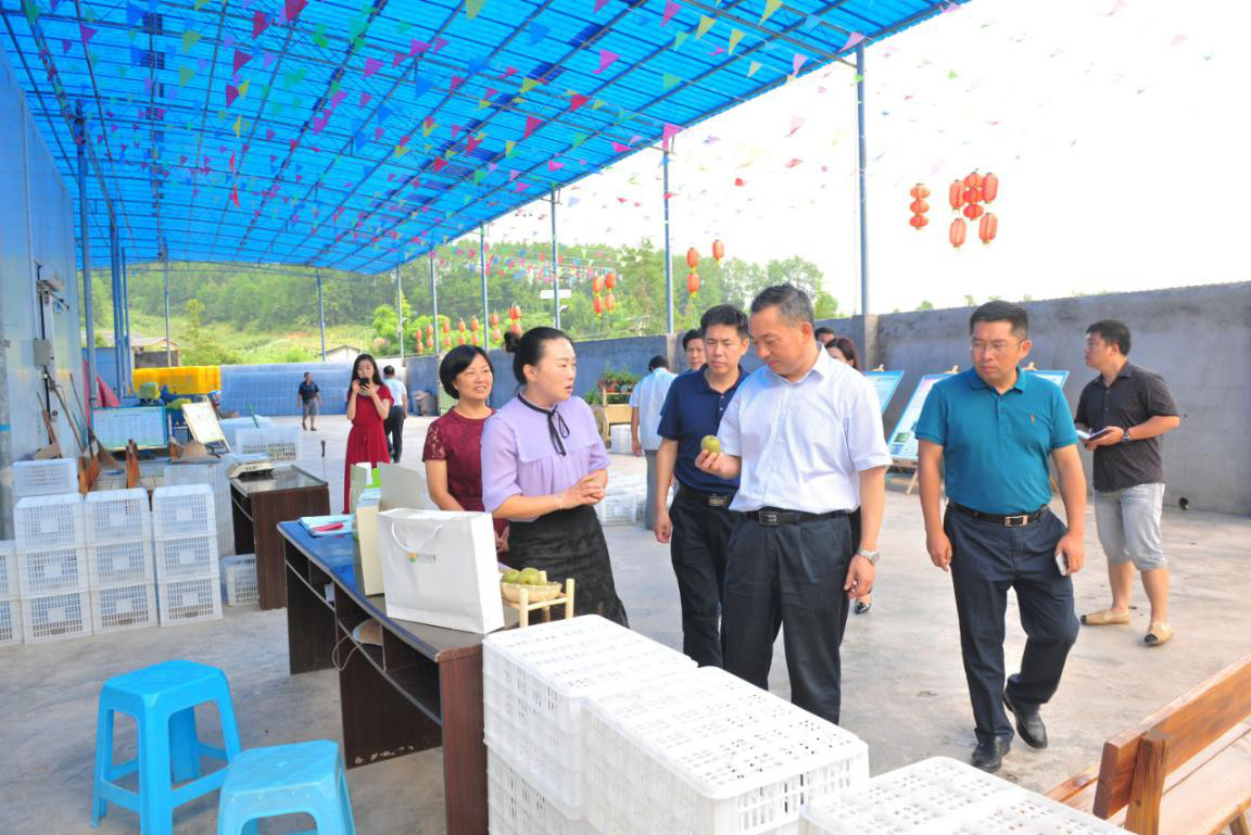 新葡京(中国)官方网站