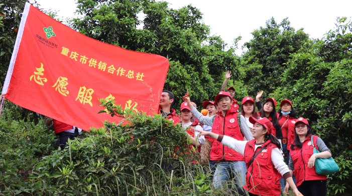 新葡京(中国)官方网站