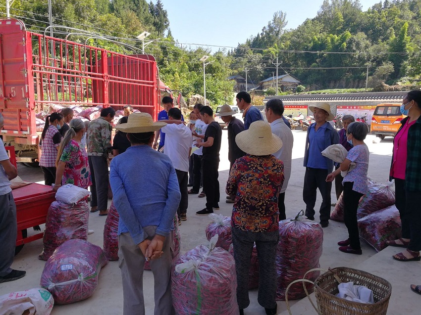 4.jpg 新葡京(中国)官方网站