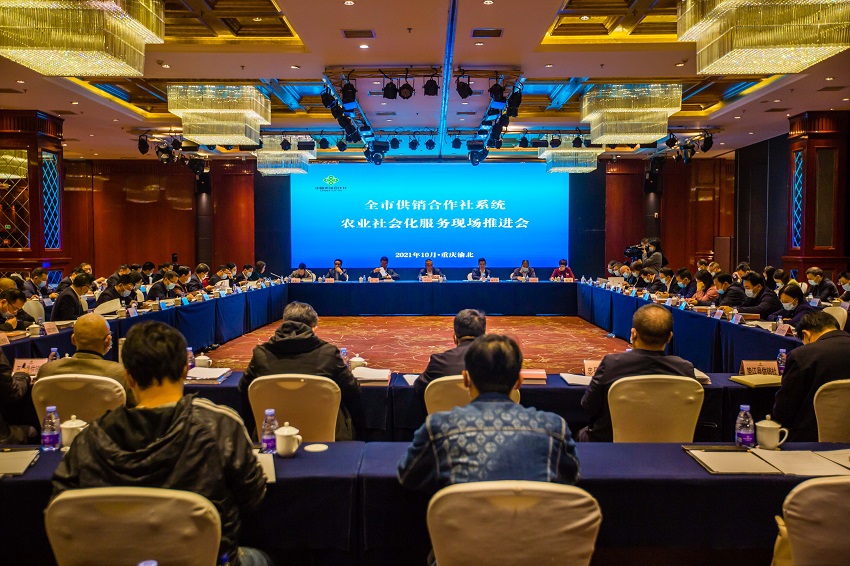 新葡京(中国)官方网站
