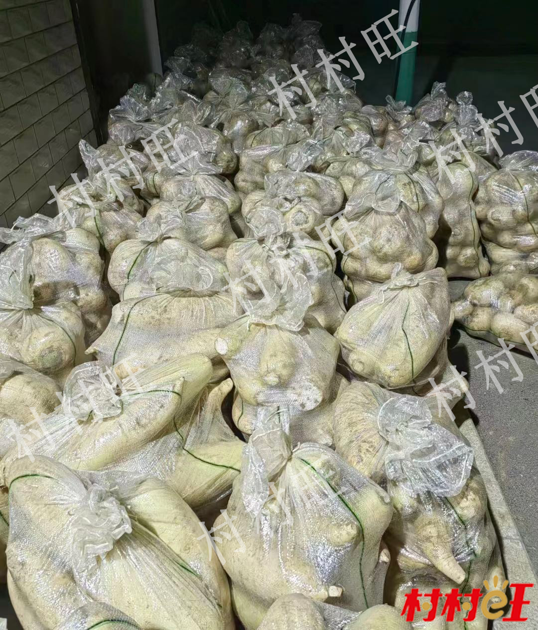 新葡京(中国)官方网站