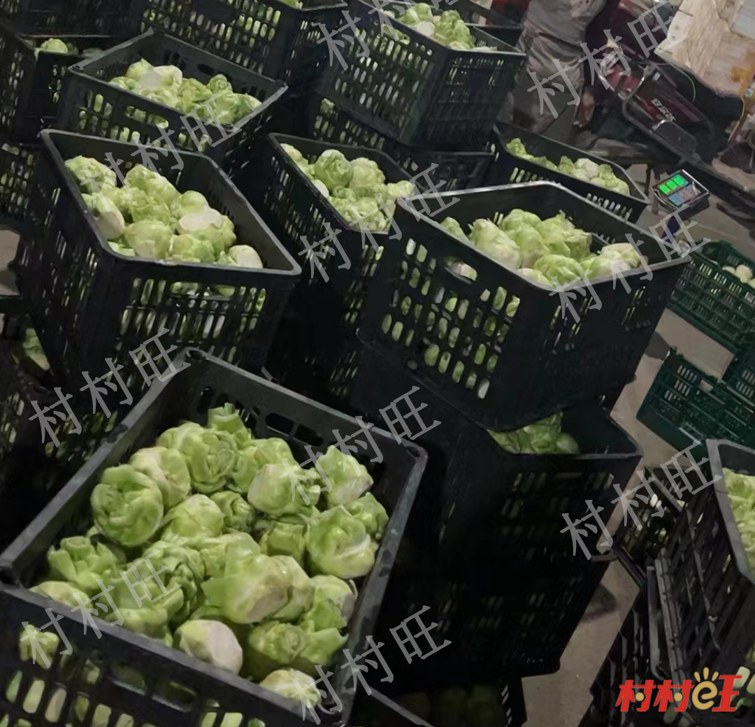 新葡京(中国)官方网站