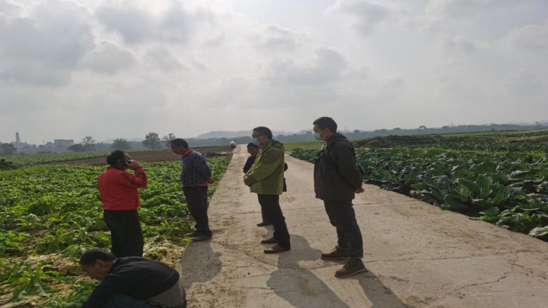 新葡京(中国)官方网站
