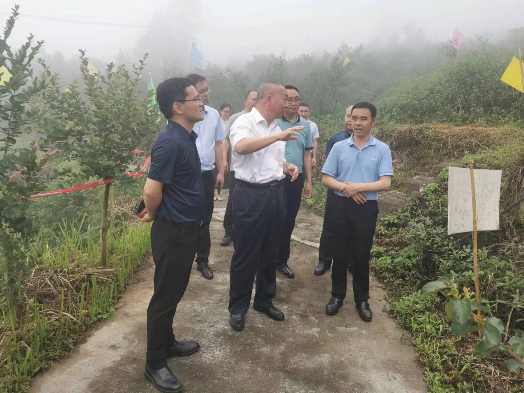 新葡京(中国)官方网站