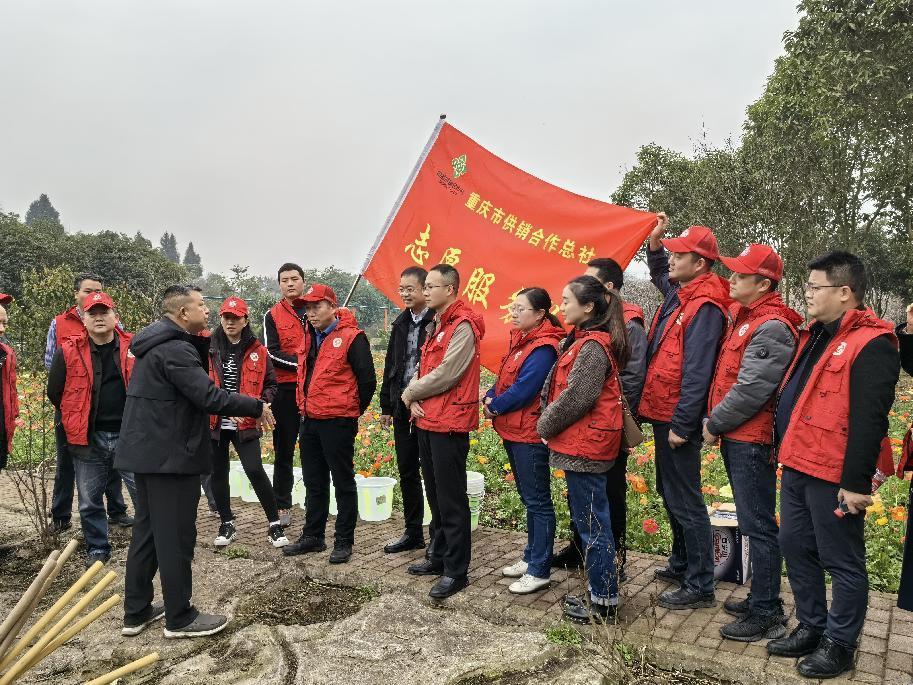 新葡京(中国)官方网站