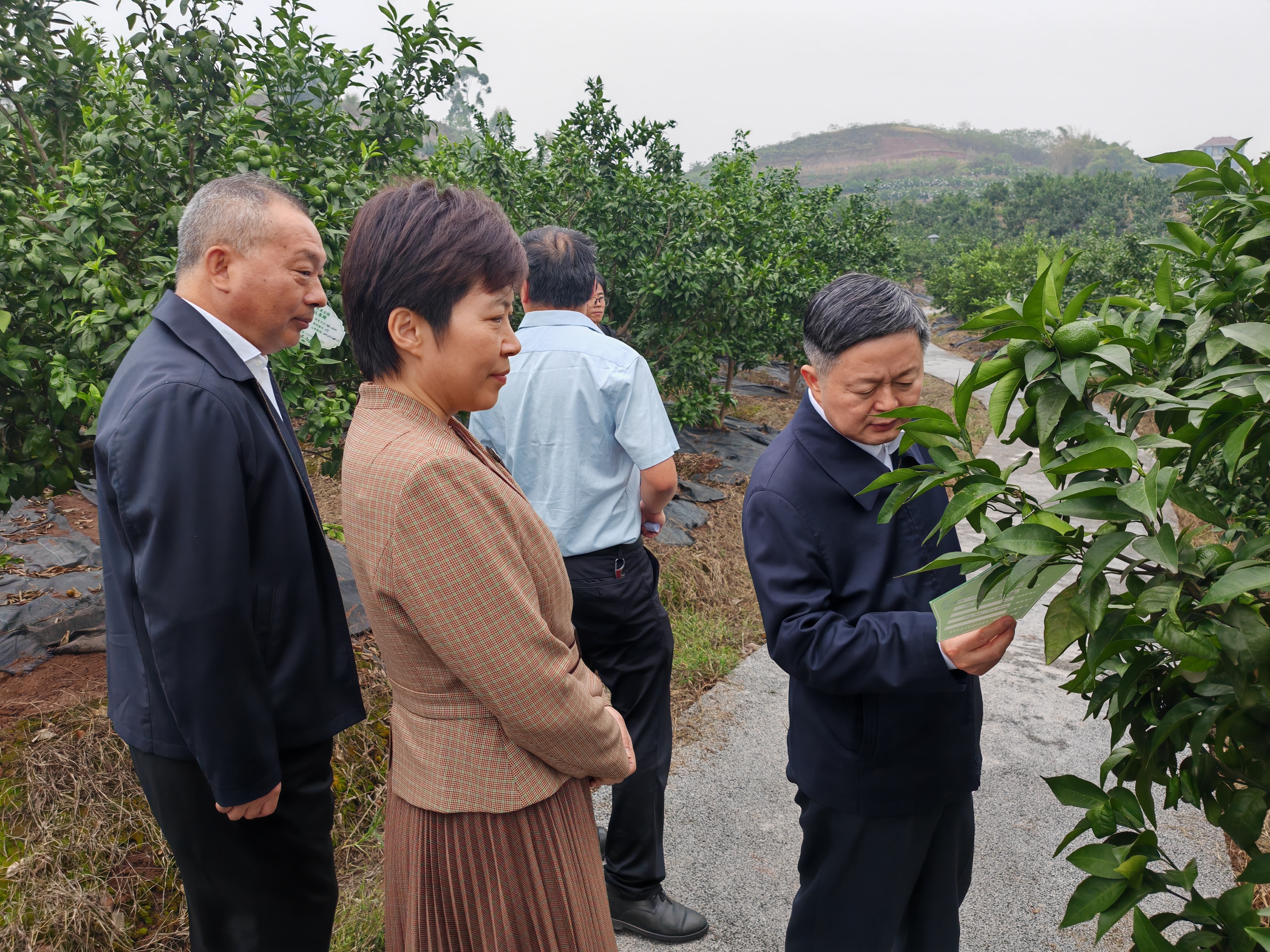 新葡京(中国)官方网站