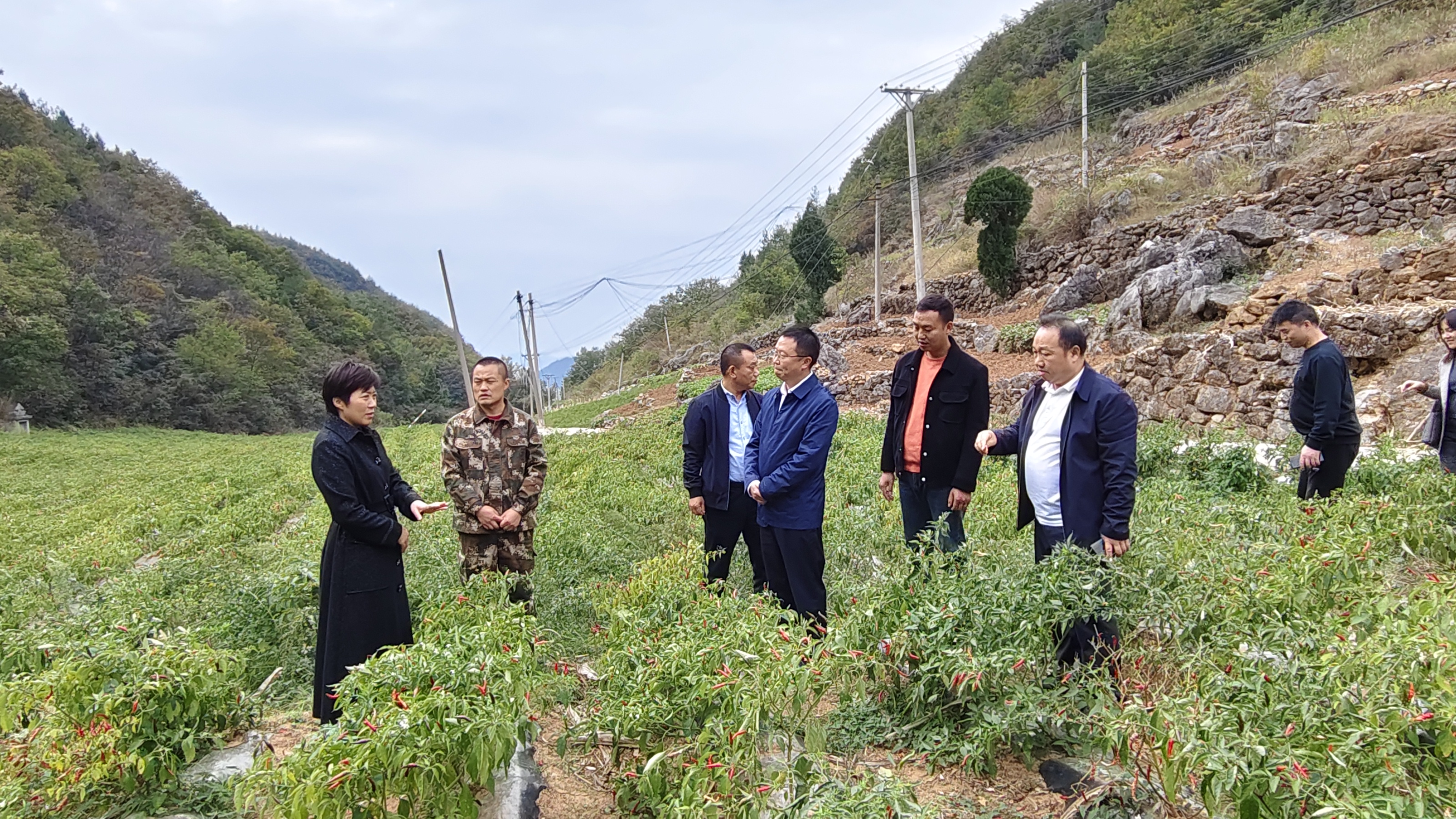 mmexport1730701995480.jpg 新葡京(中国)官方网站